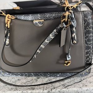 Coach Dreamer Snakeskin Purse
